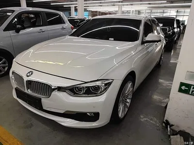 2018 BMW 3 Series 320Li Fashion Style, фото 1, лот 11468555