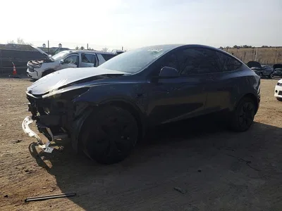 2024 TESLA MODEL Y, фото 1, лот 10850932