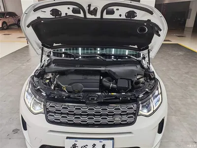 2021 Land Rover Discovery Sport 249PS R-Dynamic S Performance Edition, фото 4, лот 11169596