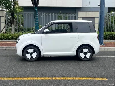 2023 Changan Qiyuan Changan Lumin Model 205km Fragrant Edition, фото 3, лот 10407305