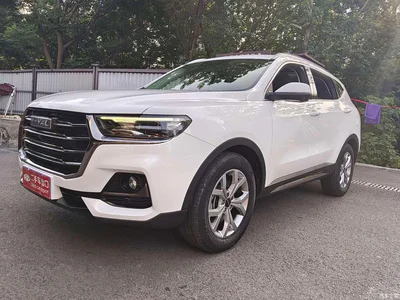 2021 Haval H6 Model National Trend Edition 1.5T Auto Champion, фото 1, лот 10281565