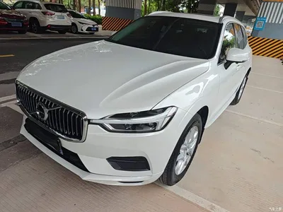 2019 Volvo XC60 T5 4WD Intelligent Ease China VI, фото 1, лот 10366748
