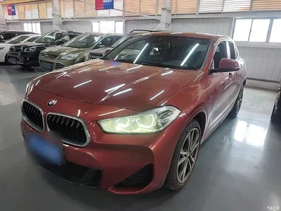 2020 BMW X2 xDrive25i M Sport Package, фото 1, лот 11549876