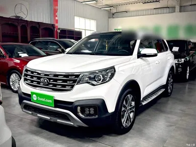 2018 Kia Sportage 2.0L Automatic Smart Luxury (China V), фото 2, лот 11448864