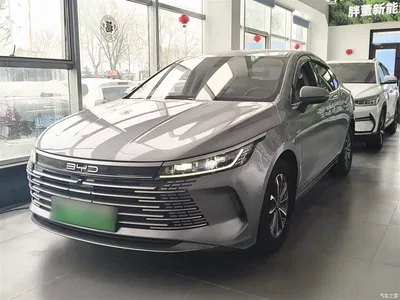2023 BYD Destroyer 05 Champion Edition DM-i 55KM Luxury, фото 1, лот 10267823