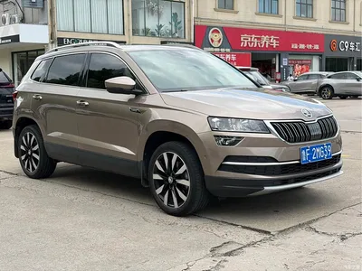 2020 Škoda Karoq TSI280 Smart Luxury Edition China VI, фото 3, лот 10348741