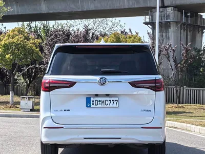 2023 Buick GL8 ES Landmaster Exclusive, фото 4, лот 10256094