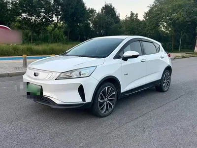 2020 Geely Emgrand GSe 500 Ling Shang Edition, фото 1, лот 10306965