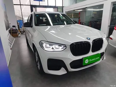 2020 BMW X3 xDrive28i M Sport Package, фото 4, лот 11088477