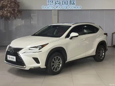 2020 Lexus NX 200 AWD F Sport China VI, фото 1, лот 10318730