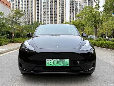 2023 Tesla Model Y Rear-Wheel Drive Edition, фото 2, лот 10768045