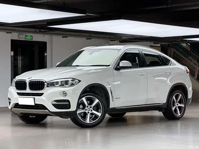 2015 BMW X6 xDrive35i Luxury Model, фото 1, лот 10469210