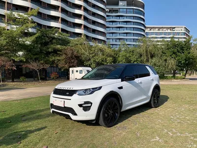 2019 Land Rover Discovery Sport 240PS SE Edition China V, фото 1, лот 10902689