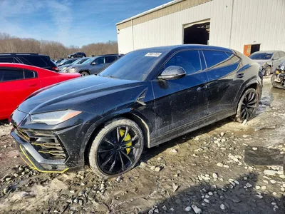 2019 LAMBORGHINI URUS, фото 1, лот 10969375