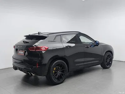 2019 WEY VV7 Upgraded 2.0T Flagship China V, фото 2, лот 10397908