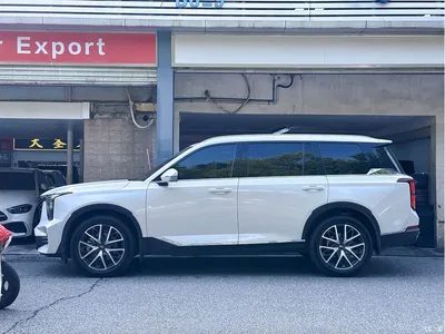 2022 GAC Trumpchi Trumpchi GS8 Pilot Series 2.0TGDI 2WD Luxury Smart Connect Edition (7-Seater), фото 3, лот 11139346