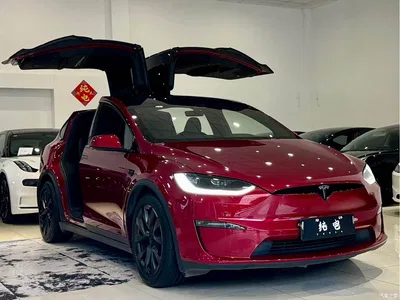 2023 Tesla Model X Dual Motor All-Wheel Drive Edition, фото 3, лот 10352321