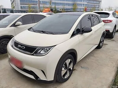 2023 BYD Dolphin 420km Fashion Edition, фото 1, лот 11501984