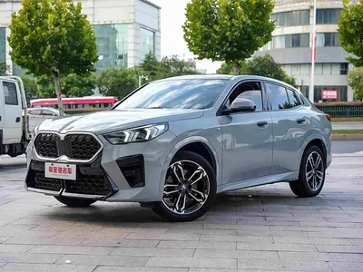 2024 BMW X2 (Import) sDrive25i M Sport Package, фото 1, лот 10447935