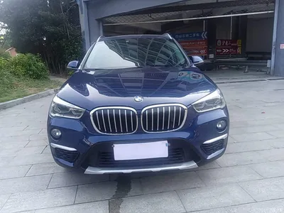 2019 BMW X1 xDrive20Li Premium Model, фото 3, лот 11178971
