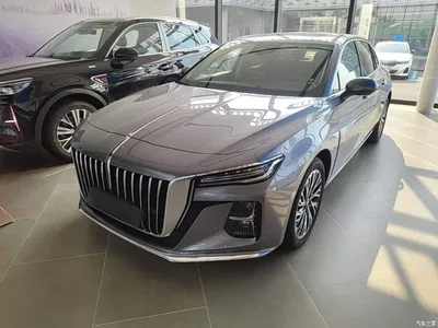 2025 Hongqi H5 2.0T Automatic Qiling 500,000 Units Commemorative Edition, фото 1, лот 10360613