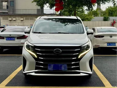 2021 GAC Trumpchi Trumpchi M8 Leading Show Series 390T Ultimate Edition, фото 2, лот 10415886