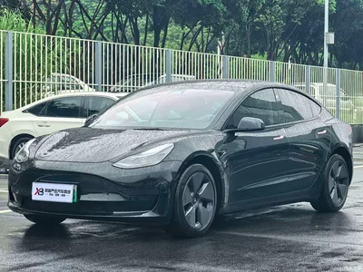 2022 Tesla Model 3 Model Rear-Wheel Drive Version, фото 1, лот 10356946