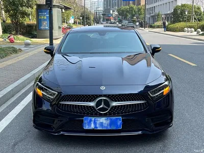 2020 Mercedes-Benz CLS 300 Dynamic, фото 2, лот 10300848
