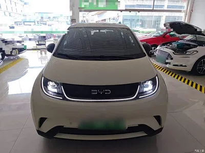 2025 BYD Dolphin 420km Freedom Edition, фото 3, лот 11017807