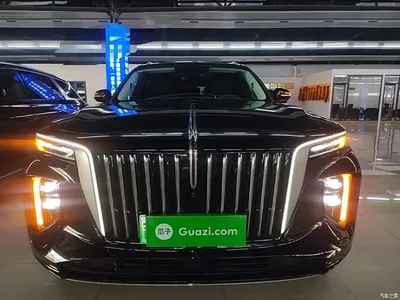 2021 Hongqi E-HS9 460km Flagship Comfort 6-seater, фото 3, лот 10289875