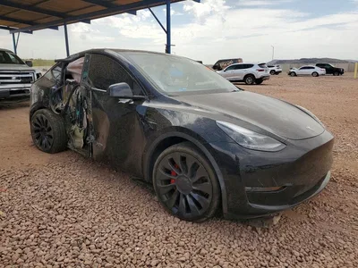 2023 TESLA MODEL Y, фото 4, лот 10850915