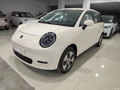 2024 JAC Yiwei Yiwei 3 Beloved Edition 330km Lite, фото 1, лот 11148394