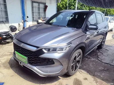2024 BYD Song Pro New Energy Glory Edition DM-i 71KM Pilot, фото 2, лот 10598740