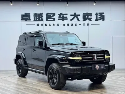 2021 Tank 300 Urban Edition 2.0T Stylish, фото 3, лот 10344180