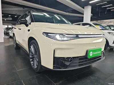2024 Leapmotor C16 Pure Electric 520 Premium Edition, фото 4, лот 10441908