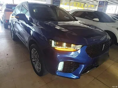 2017 WEY VV5 2.0T Super Luxury Model, фото 4, лот 10452473