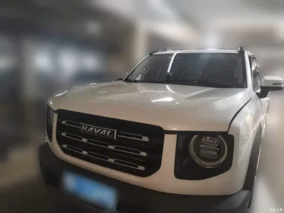 2021 Haval Big Dog 1.5T DCT 2WD Malinois Edition, фото 3, лот 11138665