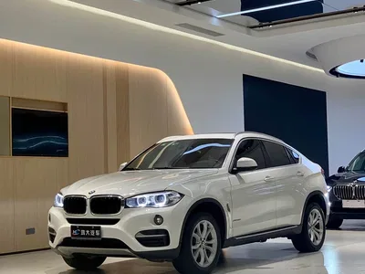 2018 BMW X6 xDrive35i Leading Model, фото 1, лот 10469199