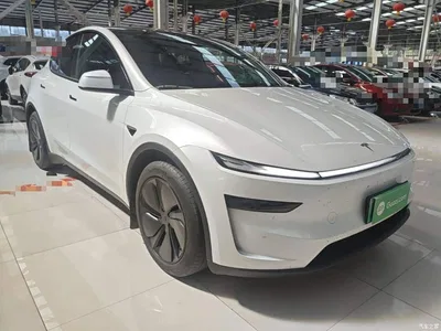 2025 Tesla Model Y Rear-Wheel Drive, фото 4, лот 10455440