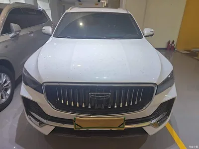 2024 Geely Xingyue L Model 2.0TD High-Power Automatic 2WD Skyline Edition, фото 3, лот 10310566