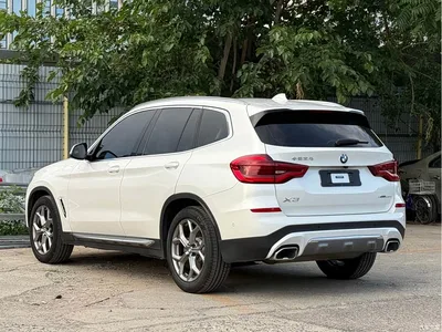 2021 BMW X3 xDrive28i Luxury Package, фото 4, лот 10238718