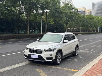 2019 BMW X1 sDrive20Li Leading Model, фото 1, лот 11219057