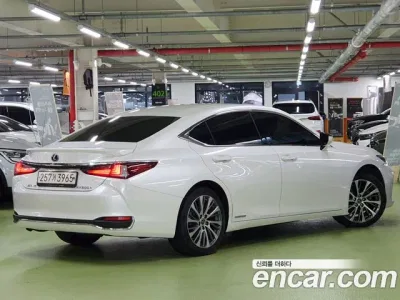 2020 Lexus ES 300h Luxury, фото 3, лот 10033503