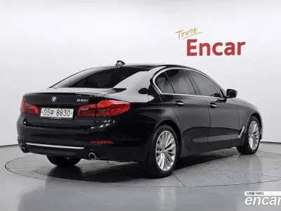 2019 BMW 5-Series 530i xDrive Luxury Plus, фото 2, лот 10142617