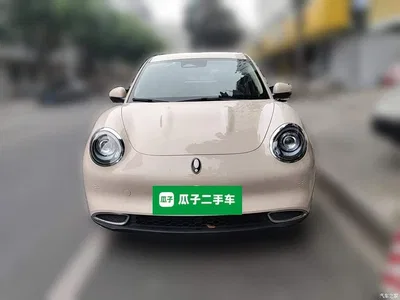 2023 Ora Good Cat 401km Standard Range Luxury LFP, фото 2, лот 11193355