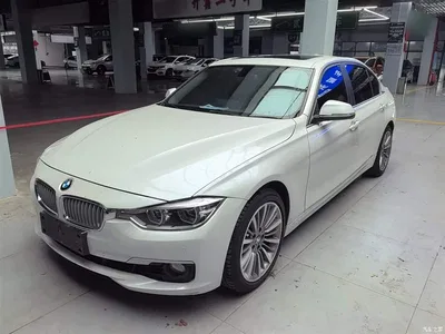 2019 BMW 3 Series 320Li Fashion Type, фото 1, лот 10458025