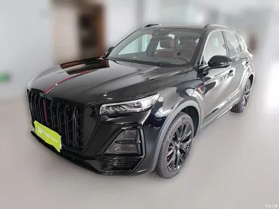 2023 Hongqi HS5 2.0T AWD Flag Pro 500,000 Units Commemorative Edition, фото 3, лот 10360381