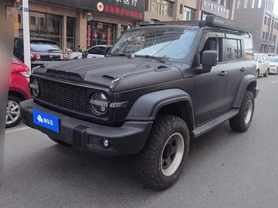 2024 Tank 300 Model 2.0T Challenger, фото 2, лот 11202466