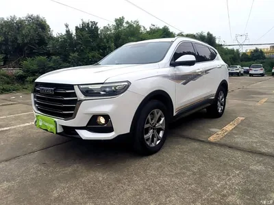 2021 Haval H6 National Trend Edition 1.5GDIT Automatic Champion Edition, фото 2, лот 11018345
