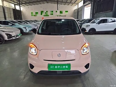 2021 Leapmotor T03 400 Micro Sugar Edition, фото 3, лот 11137579